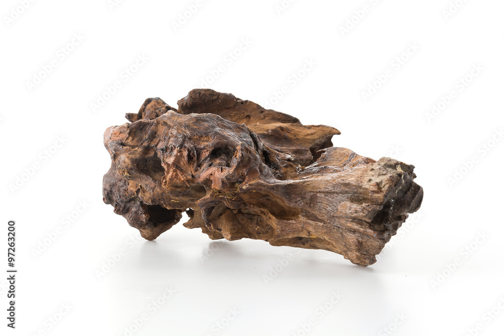 beautiful log beautiful log