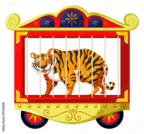 Wild tiger in the circus cage