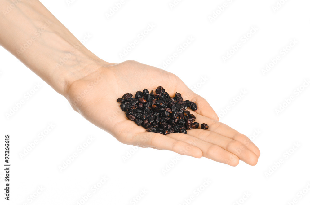 Spices and cooking theme: man's hand holding a bunch of dried barberry isolated on white background in studio Spices and cooking theme: man's hand holding a bunch of dried barberry isolated on white background in studio