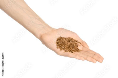Spices and cooking theme: man's hand holding a bunch of dried cumin isolated on a white background in studio