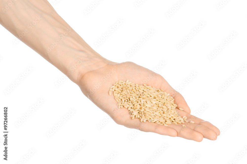 Groats and meal preparation topic: human hand holding a pile of dry barley isolated on white background in studio Groats and meal preparation topic: human hand holding a pile of dry barley isolated on white background in studio