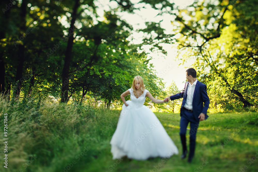Sexual beautiful elegant bride and handsome groom walking in the forest Sexual beautiful elegant bride and handsome groom walking in the forest
