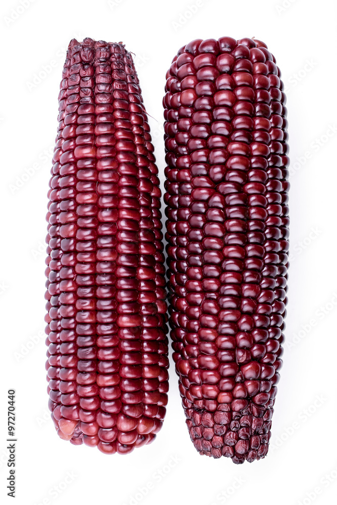 purple corn purple corn