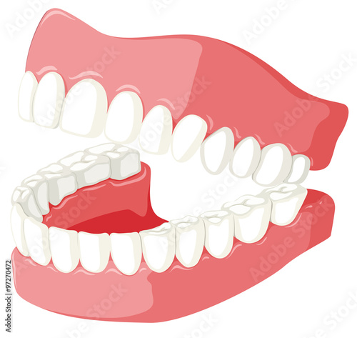 Dental theme with teeth model