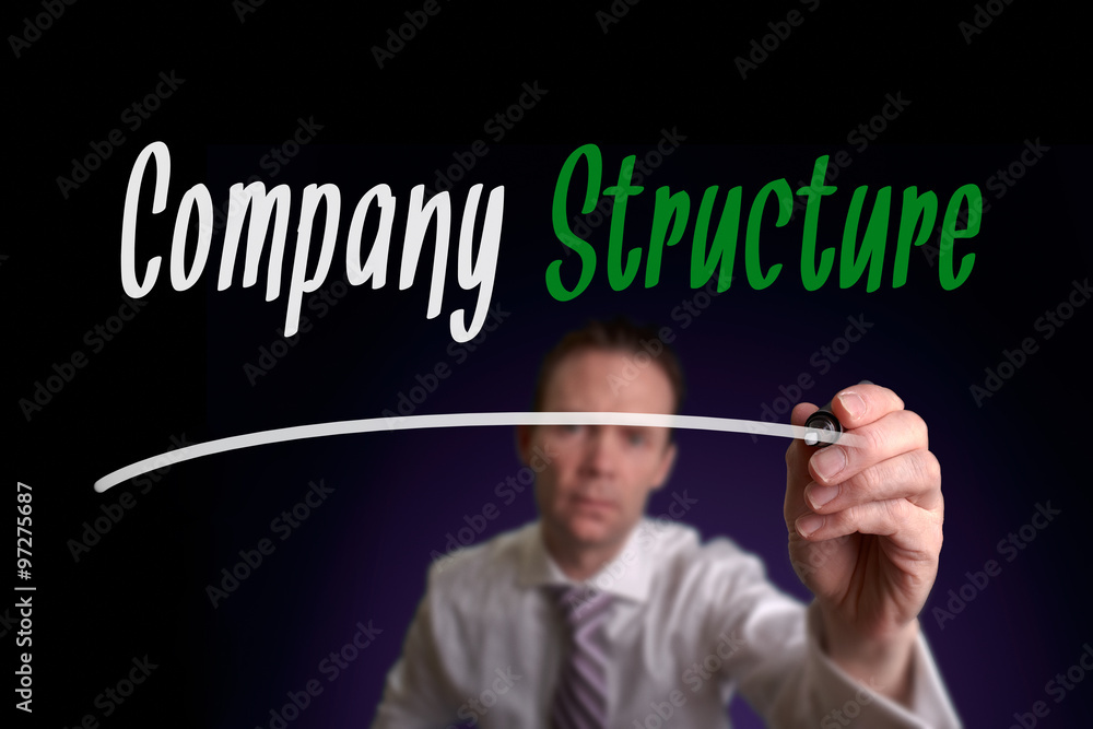 Company Structure Concept. Company Structure Concept.