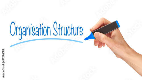 Organisation Structure Concept.