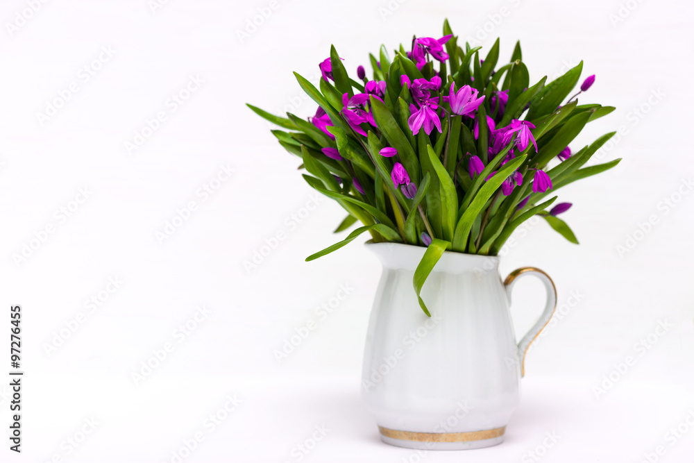 Obraz premium snowdrops