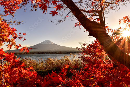 Mt.Fuji in autumn