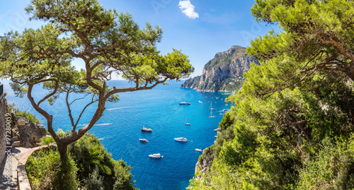 Capri island  in Italy © Sergii Figurnyi