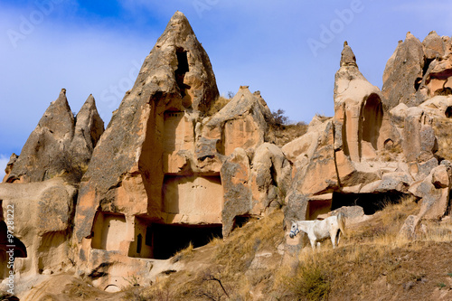 Cappadocia rock formations and horses