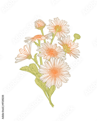 Fototapeta Naklejka Na Ścianę i Meble -  chamomile flowers bouquet