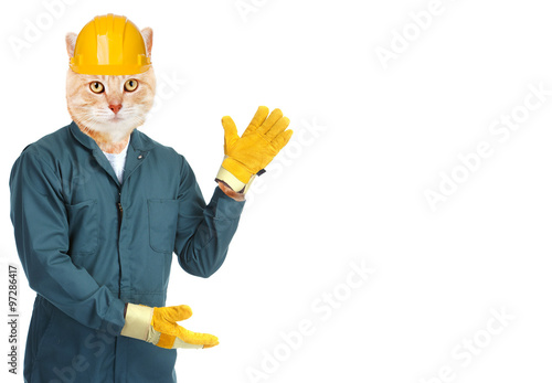 Fototapeta Naklejka Na Ścianę i Meble -  Ginger cat worker.
