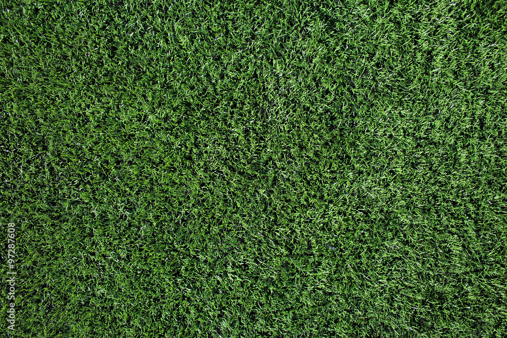 Fototapeta premium Grass texture