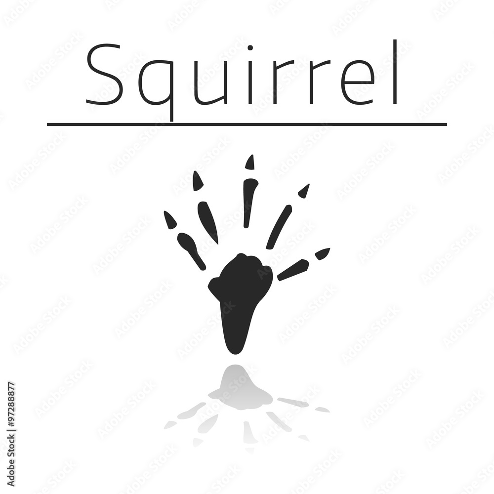Squirrel animal track Squirrel animal track