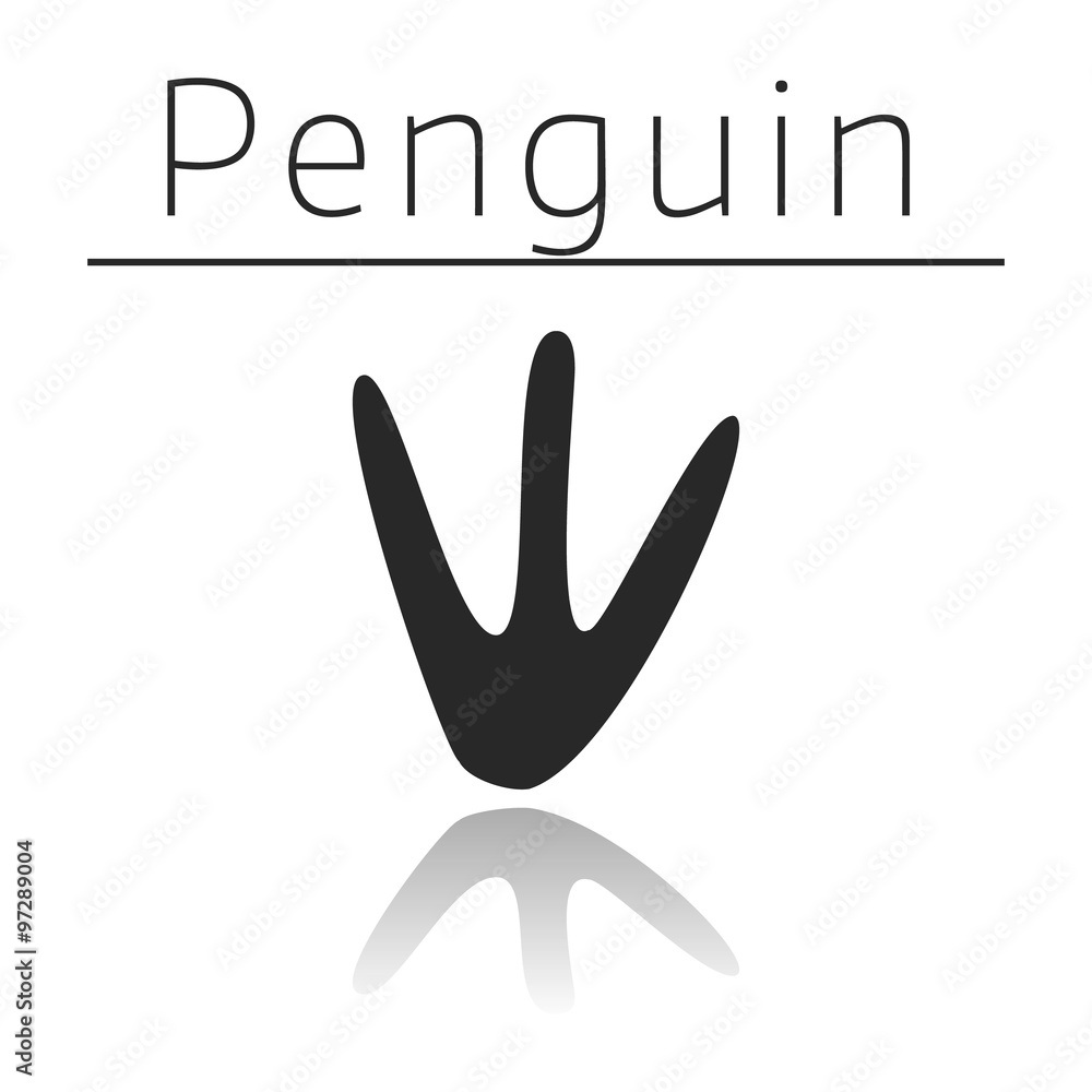 Penguin animal track Penguin animal track
