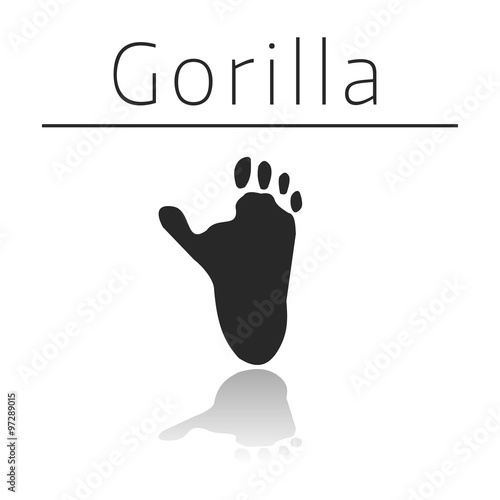 Gorilla animal track