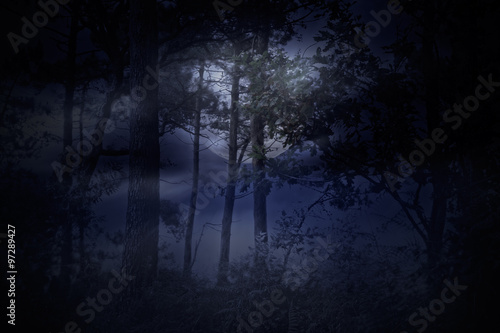 Fotografiet Full moon rises over a forest on a misty night