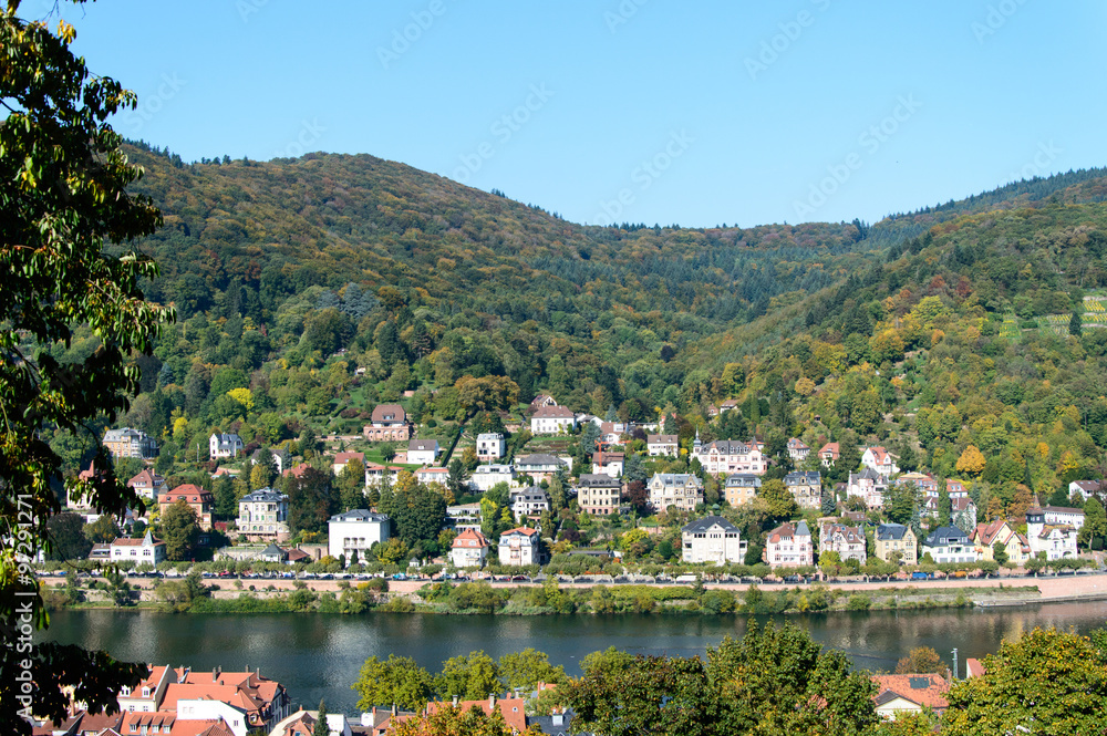 City scape in the Hiedelberg`s valley