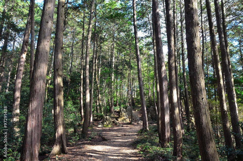 Obraz premium 京都一周トレイル 大文字山