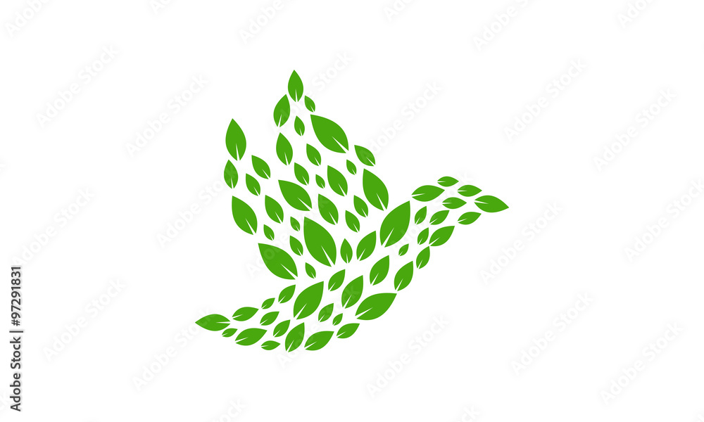 Green bird or eco bird logo design inspiration