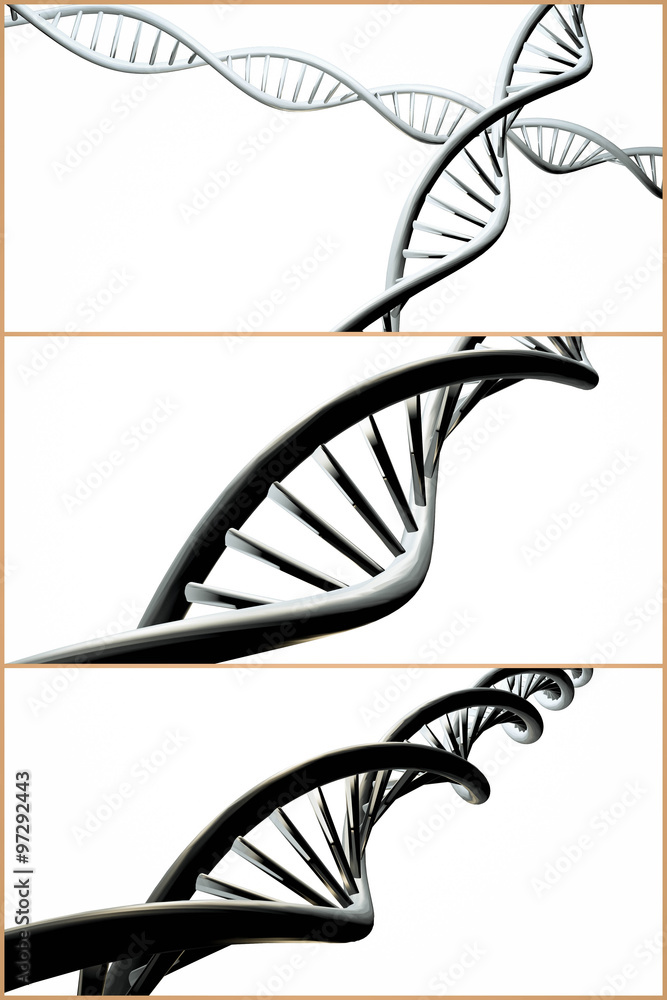 DNA Strand Collage DNA Strand Collage