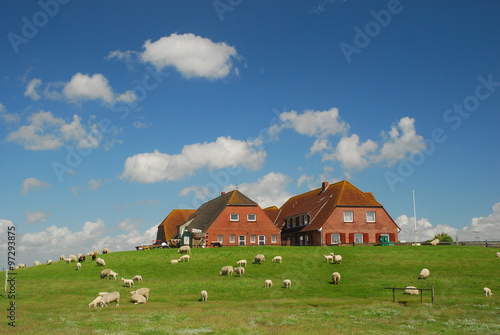 friesisch