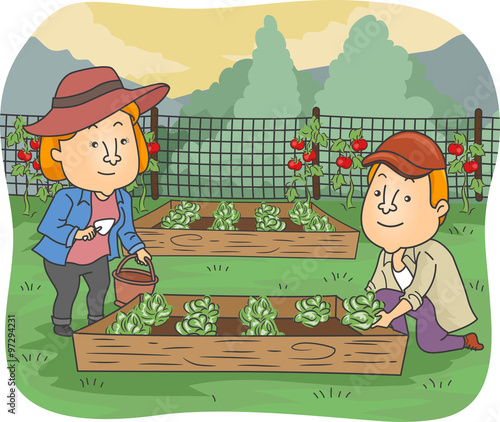 Couple Gardening Vegetable ...
