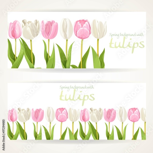 Fototapeta Naklejka Na Ścianę i Meble -  Pink and white tulips on two horizontal banners on a white backg