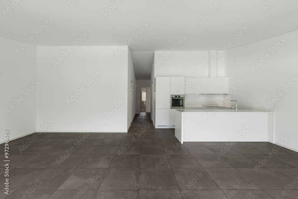 Fototapeta premium modern apartment, domestic kitchen