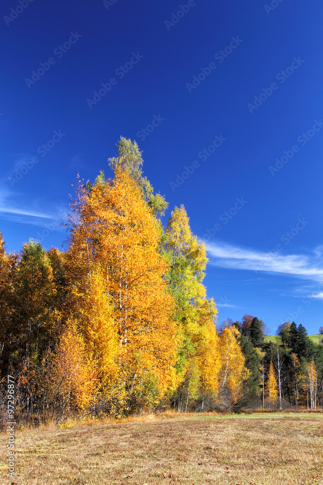 Herbstlandschaft im Allgäu