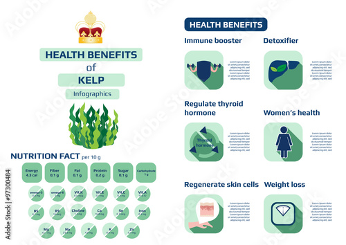 health benefits of kelp (seaweed) infographic