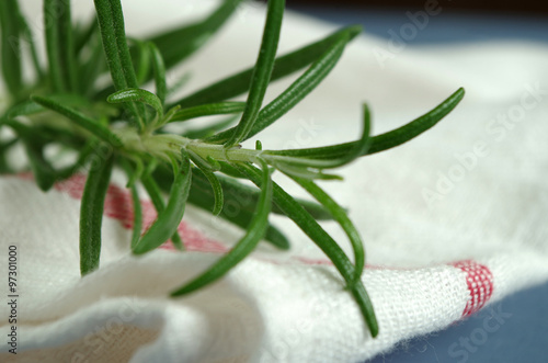 Wallpaper Mural rosmarin Torontodigital.ca