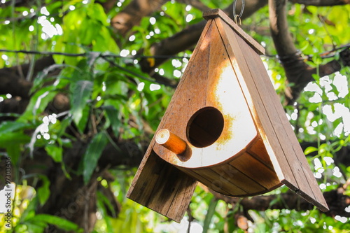 Obraz na płótnie Bird house in the garden w salonie