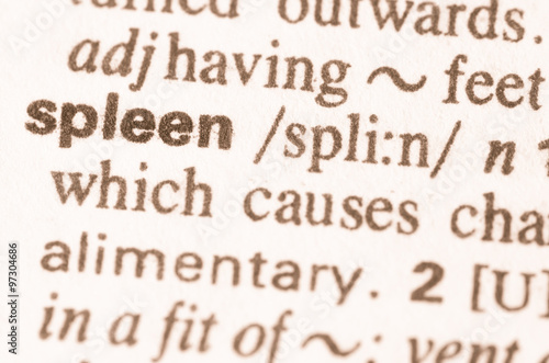 Dictionary definition of word spleen