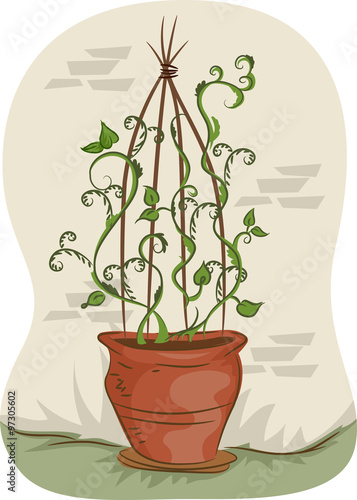 Teepee Trellis