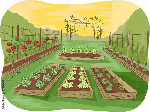 Kitchen Garden