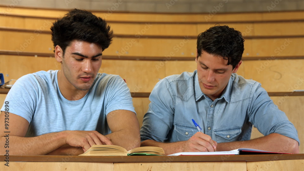Two male students working together Two male students working together