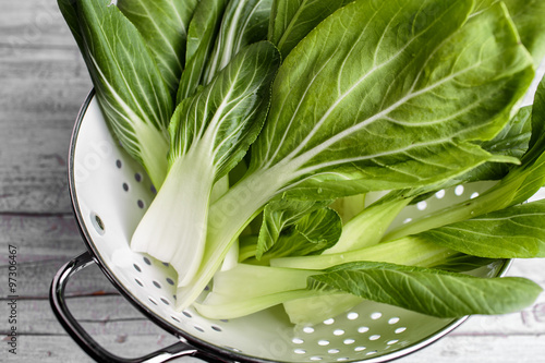 Obraz na plátně Fresh Bok Choy