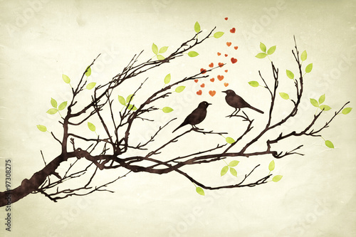 Photography two birds in love watercolors