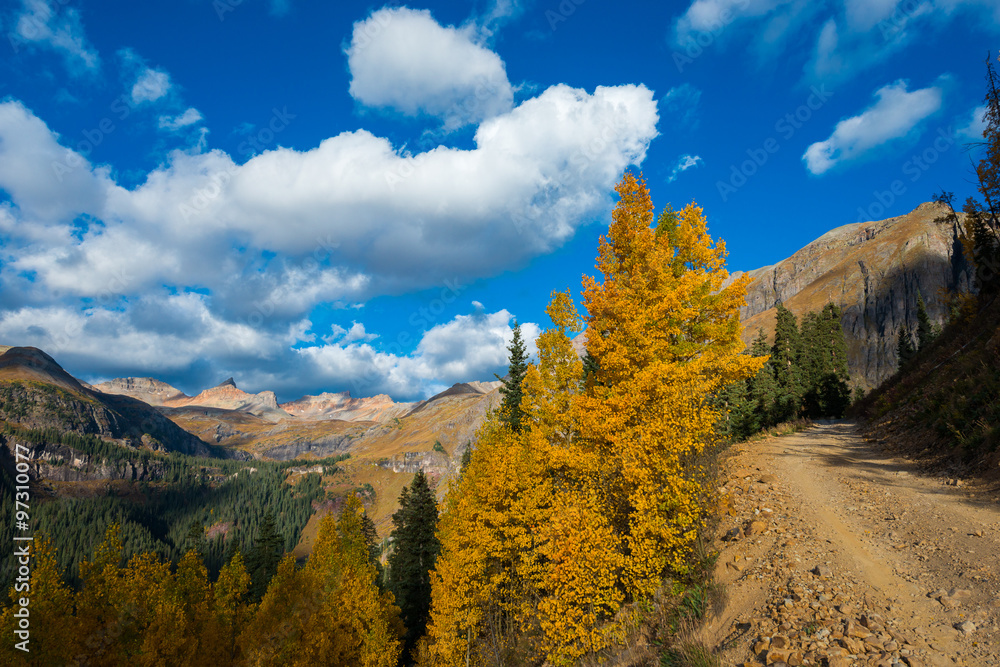 Colorado fall foliage