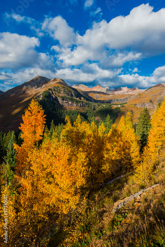 Fotografie Colorado fall foliage