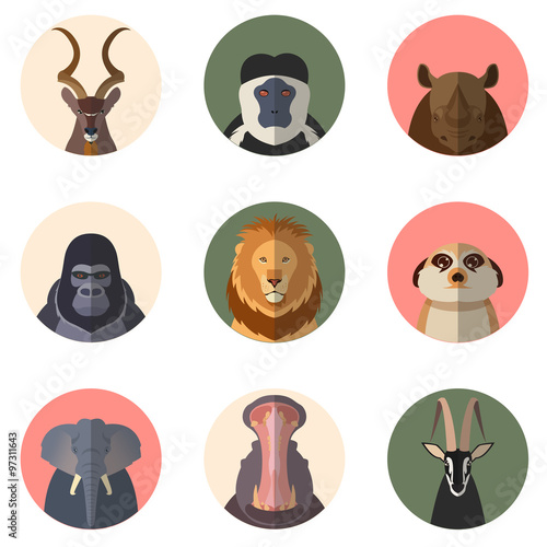 Photography African animal round flat icons