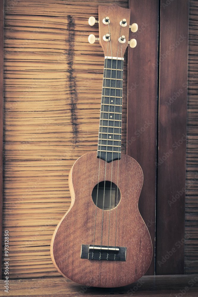 Obraz premium Soprano Ukelele