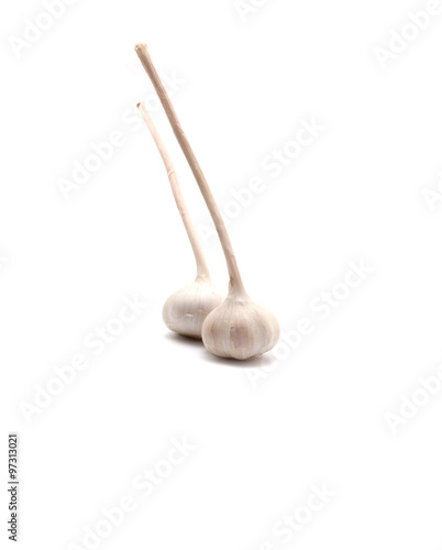 Fotografie white dry garlic on a white background.