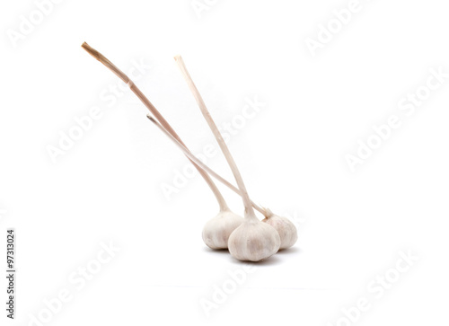 white dry garlic on a white background.