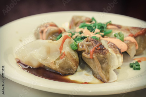 Fancy Asian Dumplings