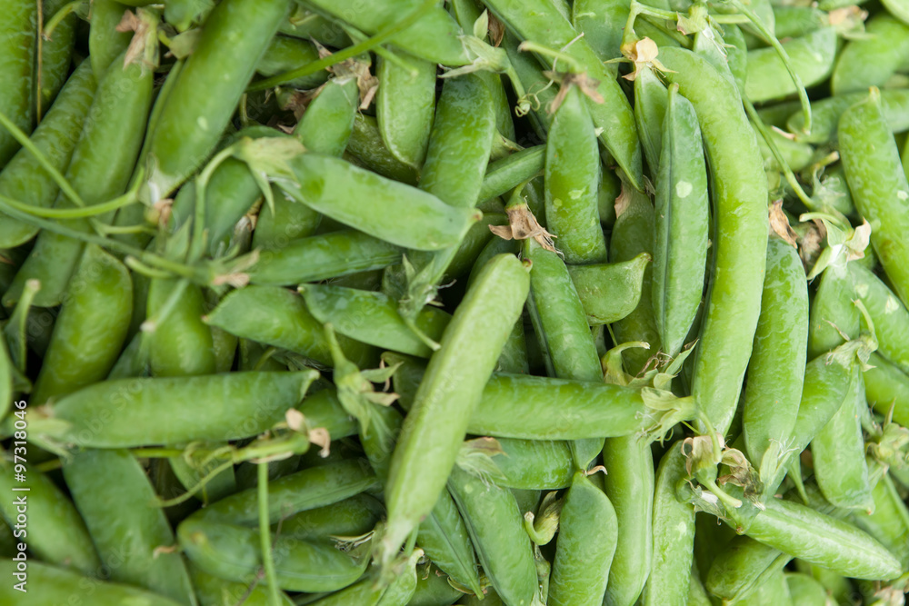 Green peas vegetable with seed closeup view Green peas vegetable with seed closeup view