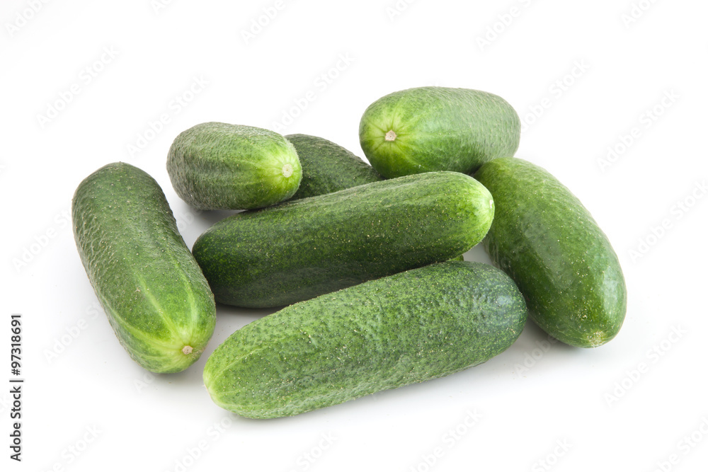 A fresh green cucumber isolated on a white background A fresh green cucumber isolated on a white background