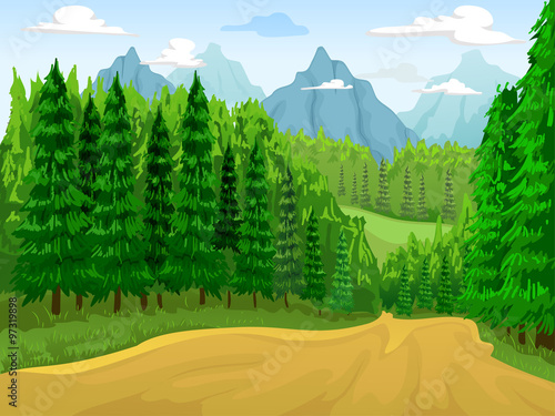 Coniferous Forest Scene