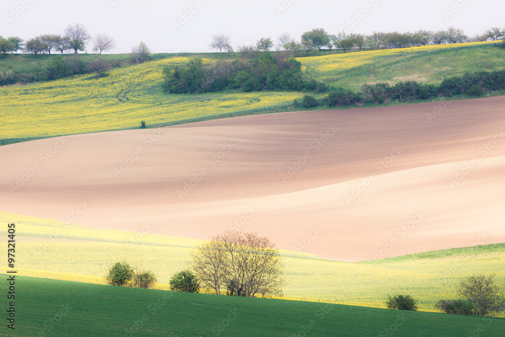 Obraz premium Rolling hills and fields